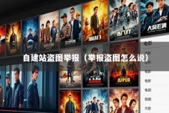 自建站盗图举报（举报盗图怎么说）