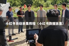 小红书自动采集教程（小红书数据采集）