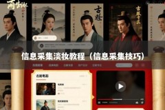 信息采集淡妆教程（信息采集技巧）