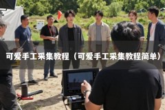 可爱手工采集教程（可爱手工采集教程简单）