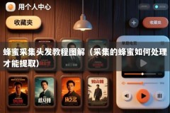 蜂蜜采集头发教程图解（采集的蜂蜜如何处理才能提取）