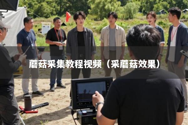 蘑菇采集教程视频(采蘑菇效果)